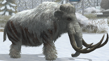 Woolly Mammoth lvl 40.png