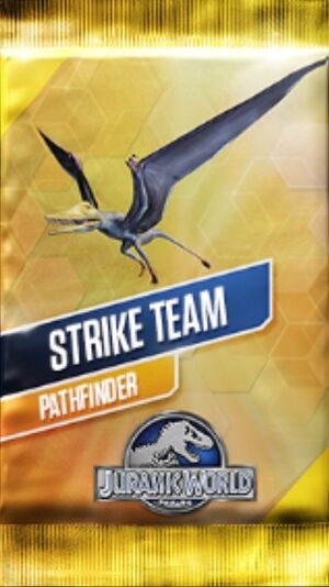 Strike Team Pathfinder Pack.jpg