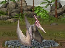 Pteranodon 10.jpeg
