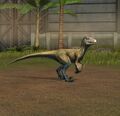 Pyroraptor 10.jpeg