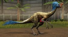 Oviraptor lvl 30.jpg
