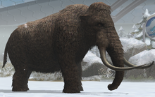 Woolly Mammoth lvl 10.png