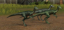 Compsognathus Lvl 1-10.png