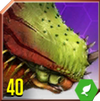 Pachyceratops Icon 40.png