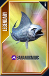 Bananogmius Card.png