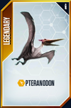 Pteranodon Card.png