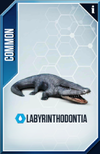 Labyrinthodontia Card.png