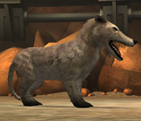 Andrewsarchus 1-10.png