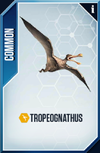 Tropeognathus Card.png