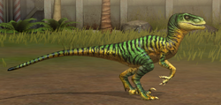 Velociraptor 21-30.png