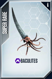 Baculites Card.png