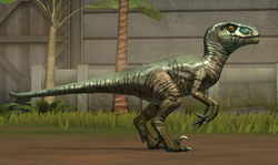 Velociraptor Gen2 11-20.png