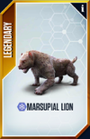 Marsupial Lion Card.png
