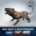 Megistotherium Trivia.png