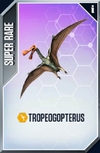 Tropeogopterus Card.png