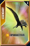 Tupandactylus Card.png