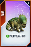 Pachyceratops Card.png