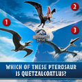 Quetzalcoatlus Trivia 3.png