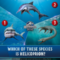 Helicoprion Trivia 4.png