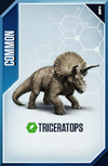 Triceratops Card.png