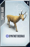 Synthetoceras Card.png