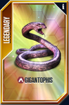 Gigantophis Card.png