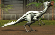 Oviraptor lvl 10.png